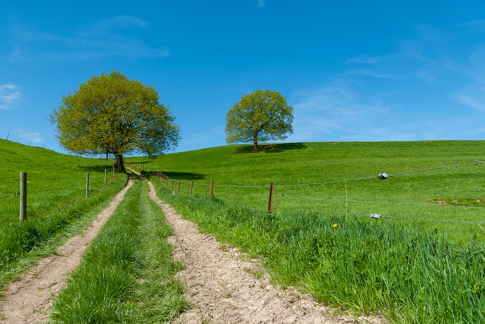 Des vacances a velo en France, en Normandie, pourquoi pas ?